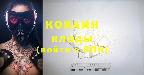 стафф Няндома