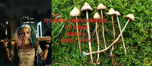 MESCALINE Осинники