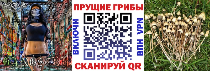 Галлюциногенные грибы Magic Shrooms  Морозовск 