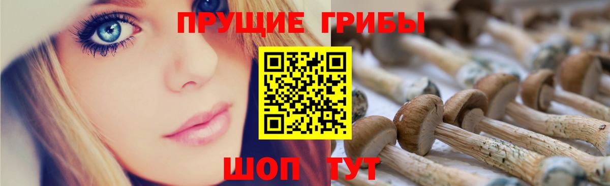 Псилоцибиновые грибы мухоморы Морозовск