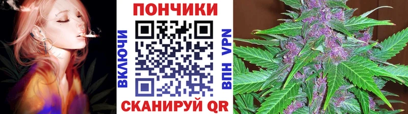 кракен ссылки  Морозовск  Канабис индика 